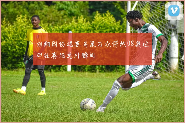 刘翔因伤退赛鸟巢万众愕然08奥运田径赛场意外瞬间