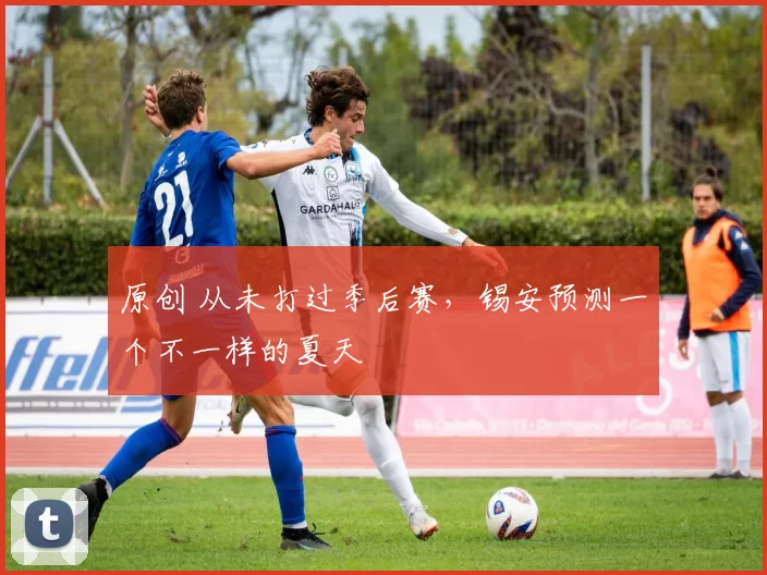 原创 从未打过季后赛，锡安预测一个不一样的夏天